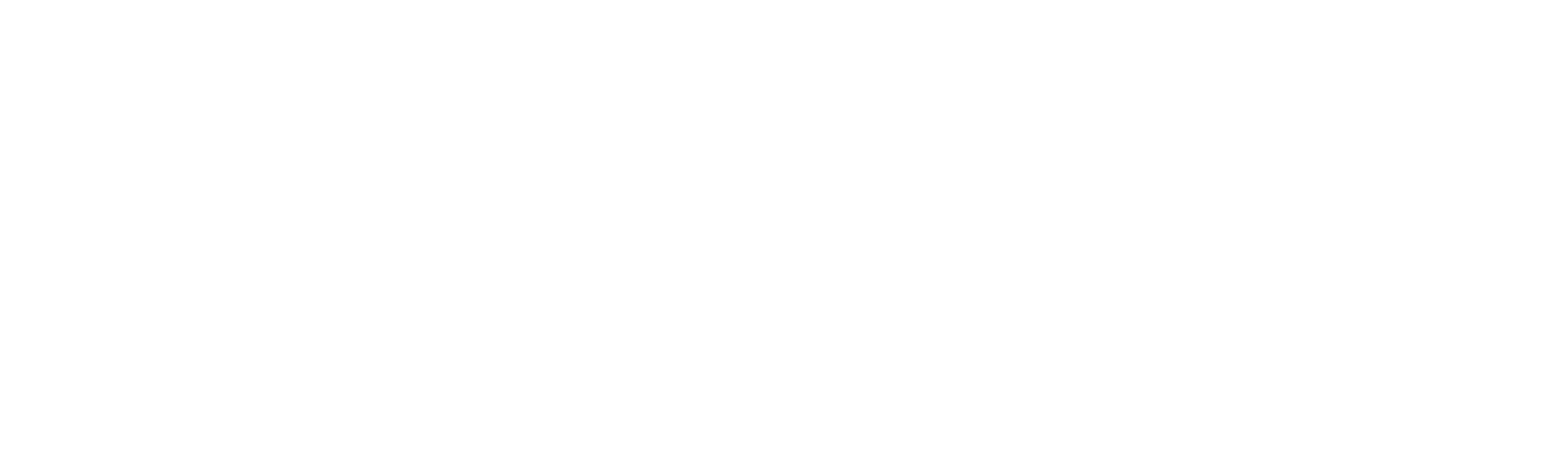 Logo Smarteye